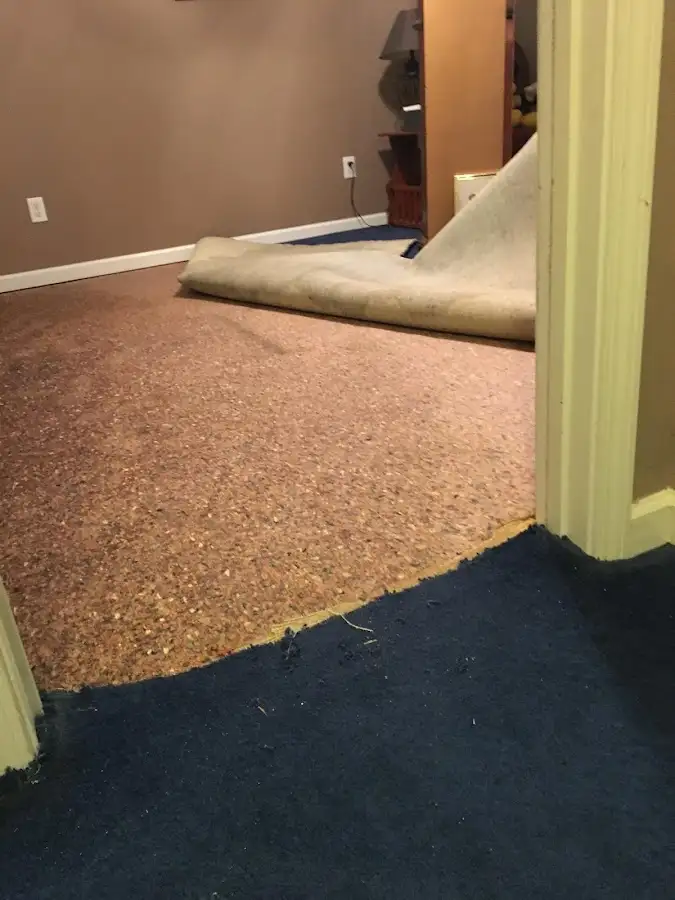 Carpet pad removal revealing water damage during Water Mitigation Services in Middleton